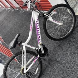 2 For 1 bikes! Great conditions