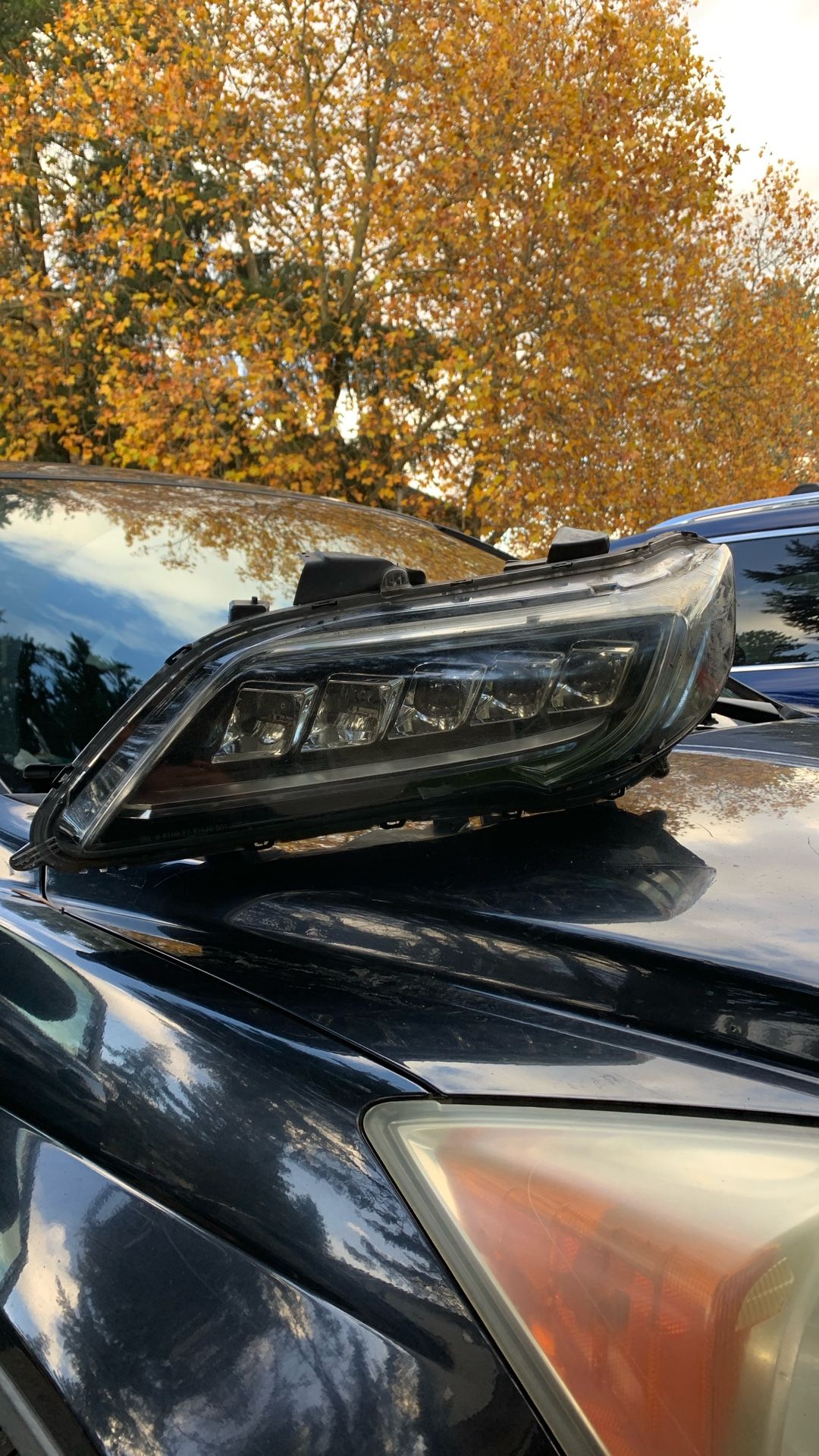 Acura Rdx 2017 Headlight 