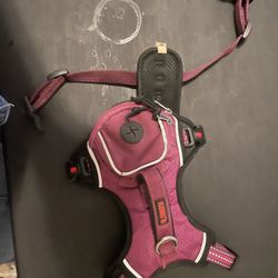 Purple Dog Harness