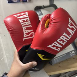 Boxing Training Gloves 14oz