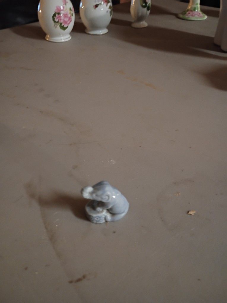 Circus Elephant