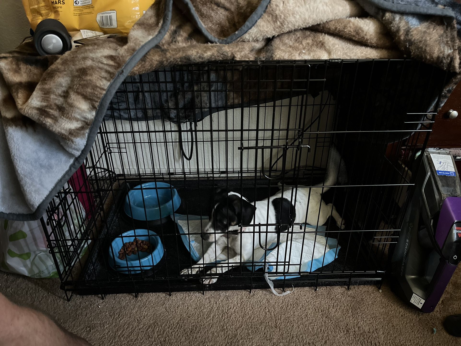 Dog Crate Small Animal Cages For Sale Medium/large Dog Cage For Sale