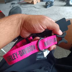 Harley Davidson Dog Callar