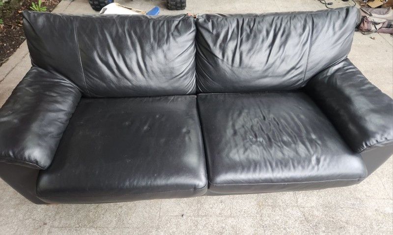 Leather Sleeper Couch