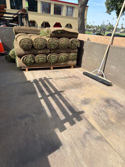300 sqf fescue FOR SALE