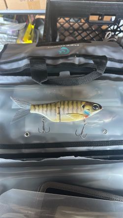 KBG Chad shad 180