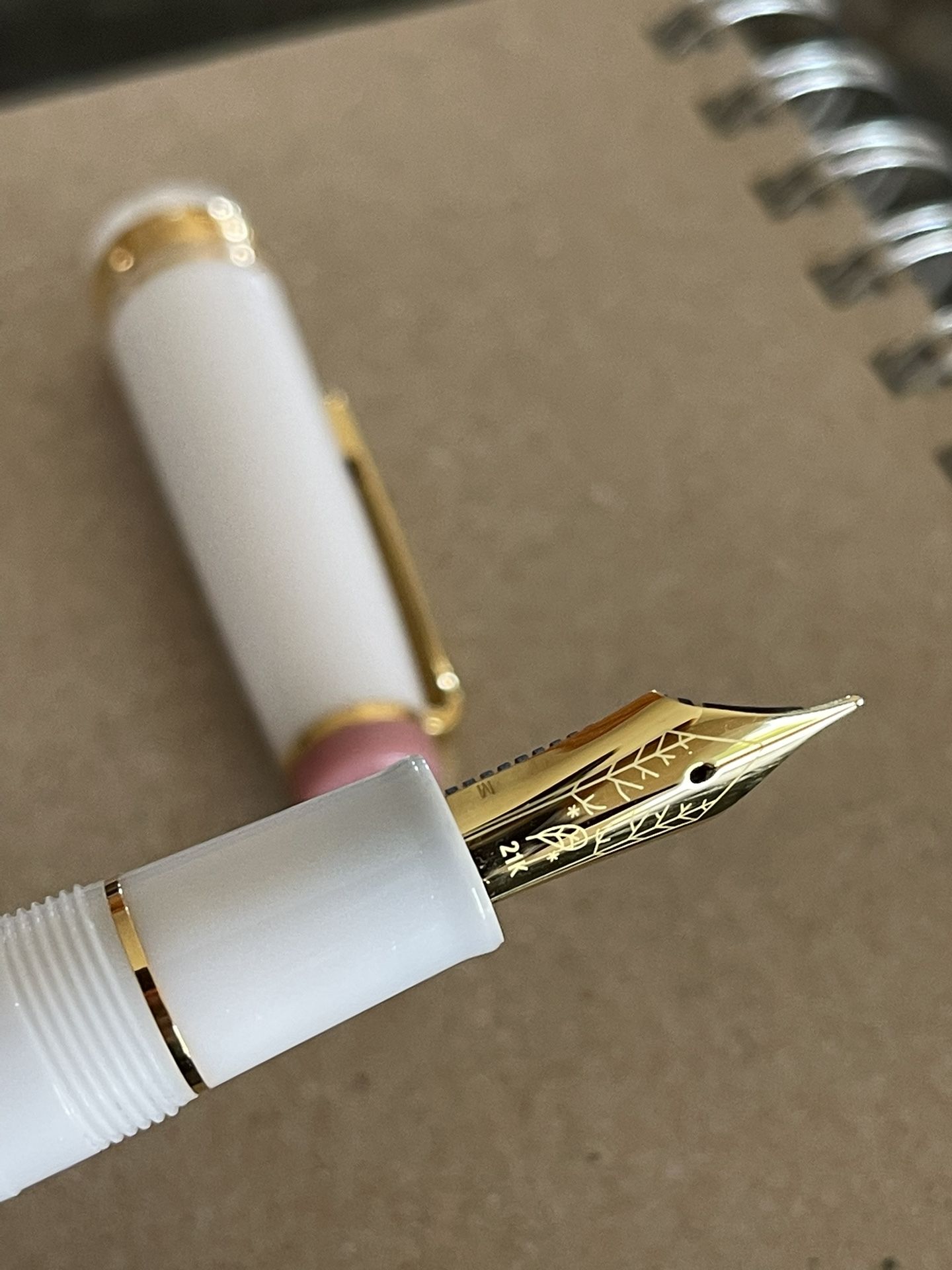 Sailor Shimaenaga Fountain Pen