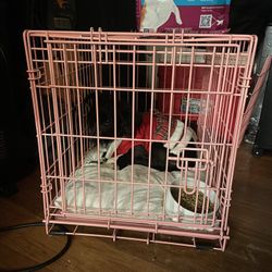 Dog Pink Crate 