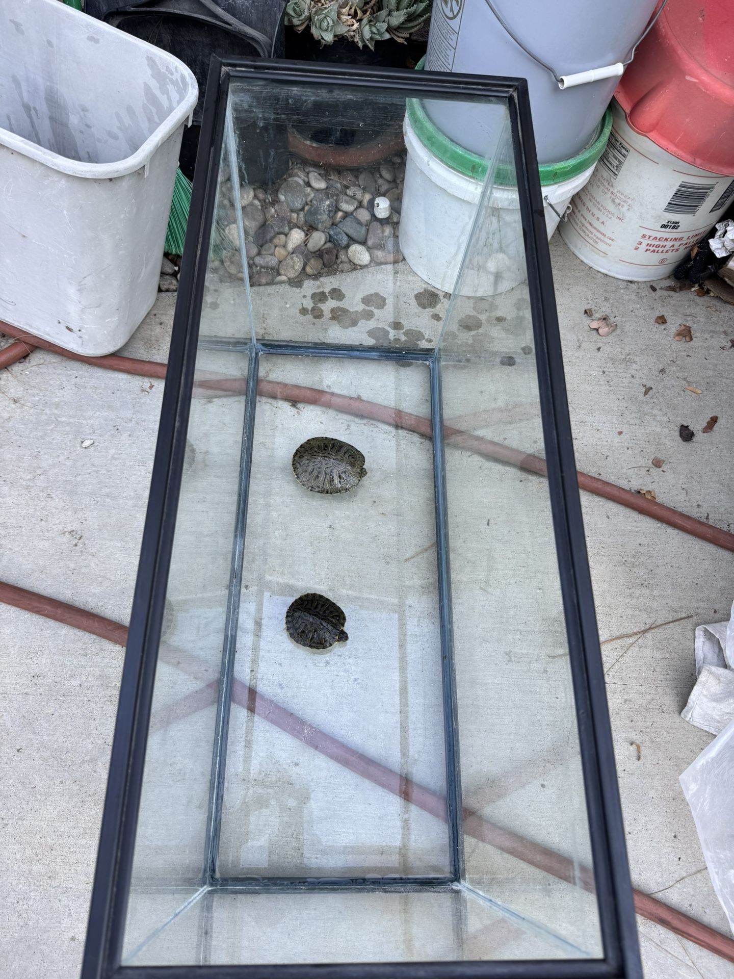 Fish Tank Terrarium 30 Gal