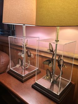 2 Vintage Butterfly Taxidermy Matching Lamps MCM Lucite Display