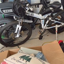 Electric Bike
