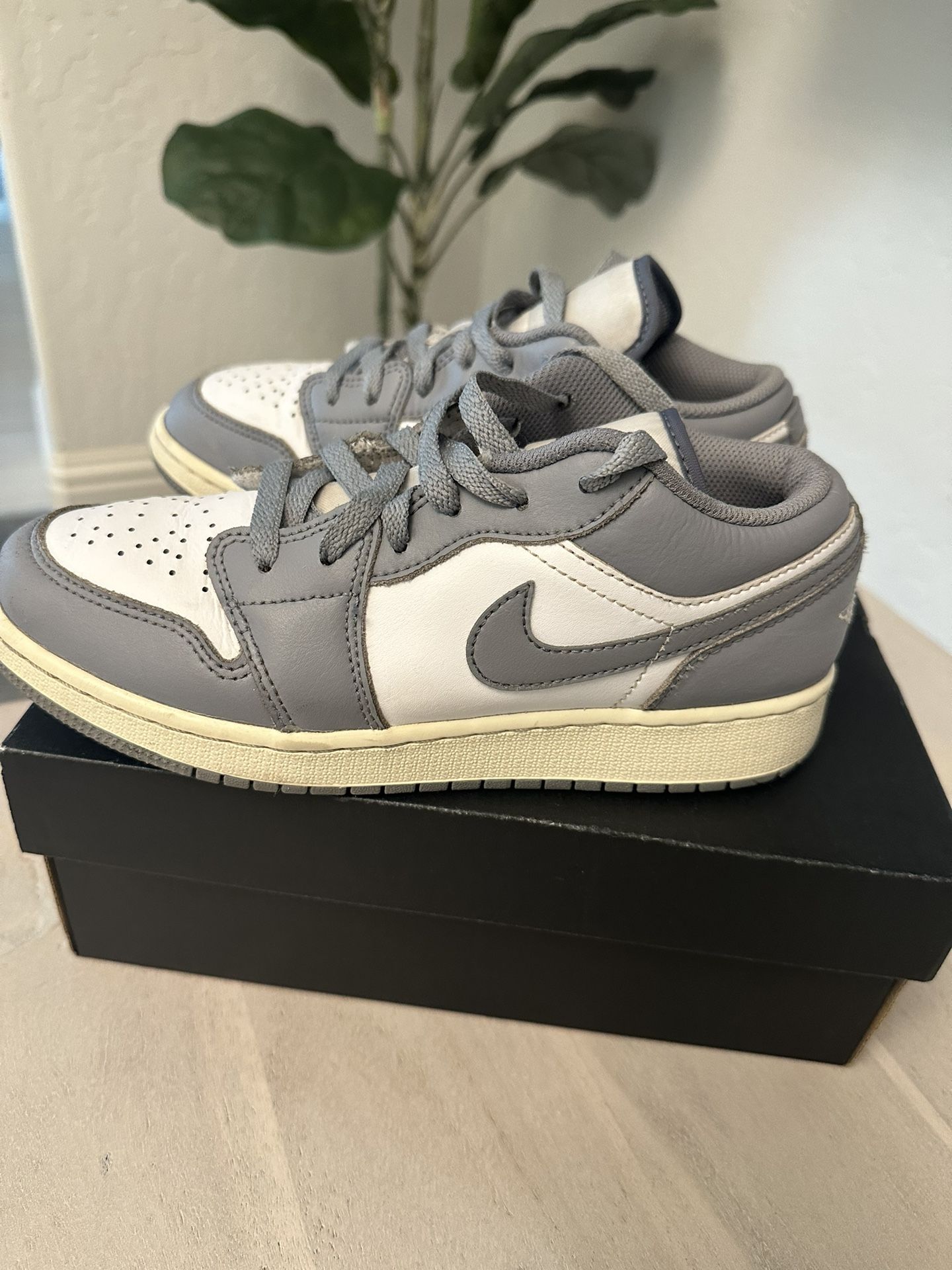 Jordan Air Jordan Low Vintage Grey