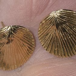 Sand Dollar And Shell Earrings