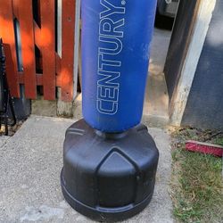 Boxing Bag And Gloves