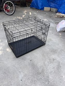 Kennels Big And Small