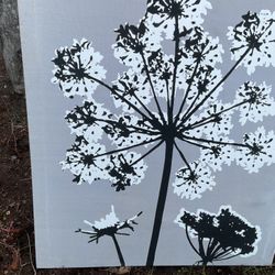 A Beautiful Black And  White Picture, Just On Time For Spring (NO SHIPPING)