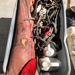 Horse Blankets And Bridles