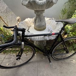 Fuji Bike Single Speed / Fixed Gear