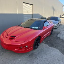 Firebird