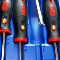 GENIUS Tamper proof Security Torq Set 