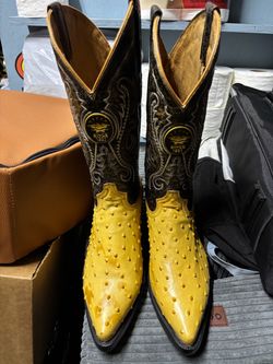 Cowboy boots/ Botas Vaqueros