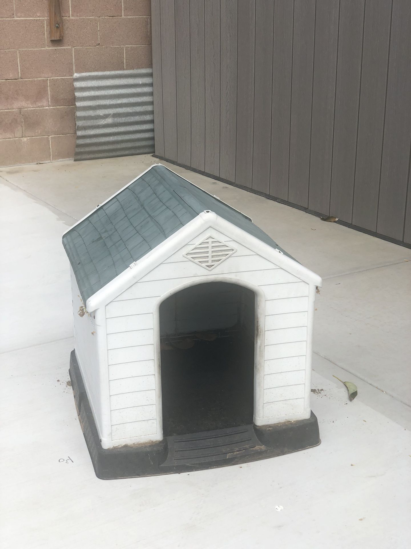 Dog House 