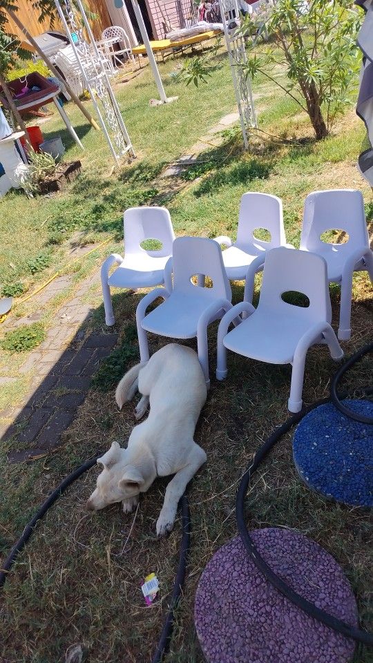 Yard Sale