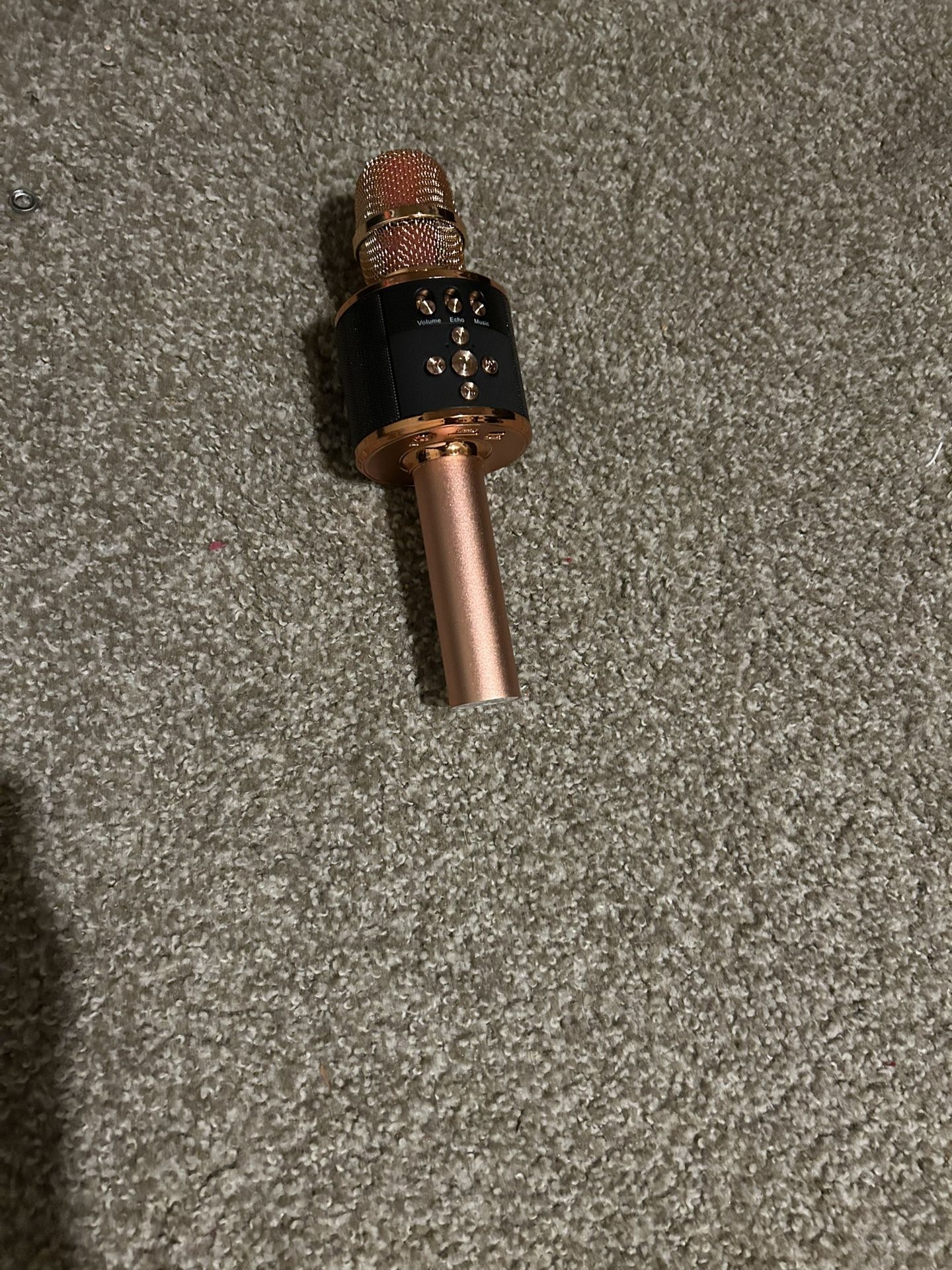 Microphone Speaker