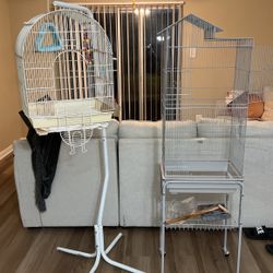 Bird Cages