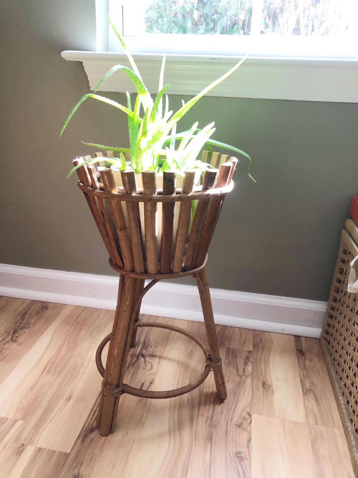 Vintage rattan/bamboo plant stand