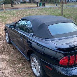 Mustang 