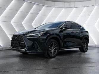 2024 Lexus NX