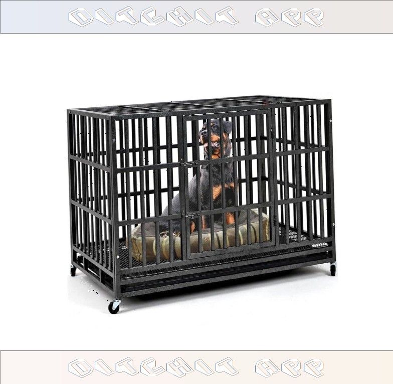 Strong Pet Cages - Safety and Coziness for Your Pet Pal collection word