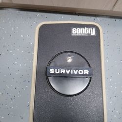 Survivor / Safe