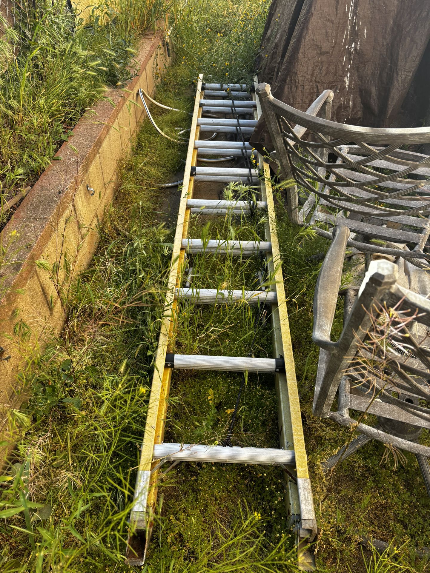 20 Ft Ladder