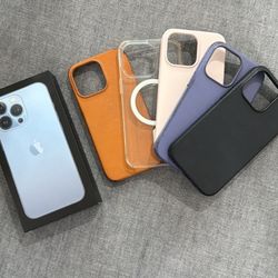 iPhone 13 Pro Case 