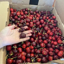Cherry Box $20 Per Box ~18lb