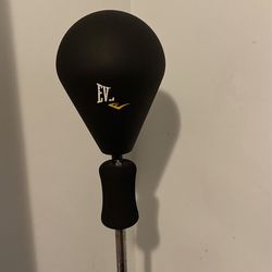 Everlast reflex bag
