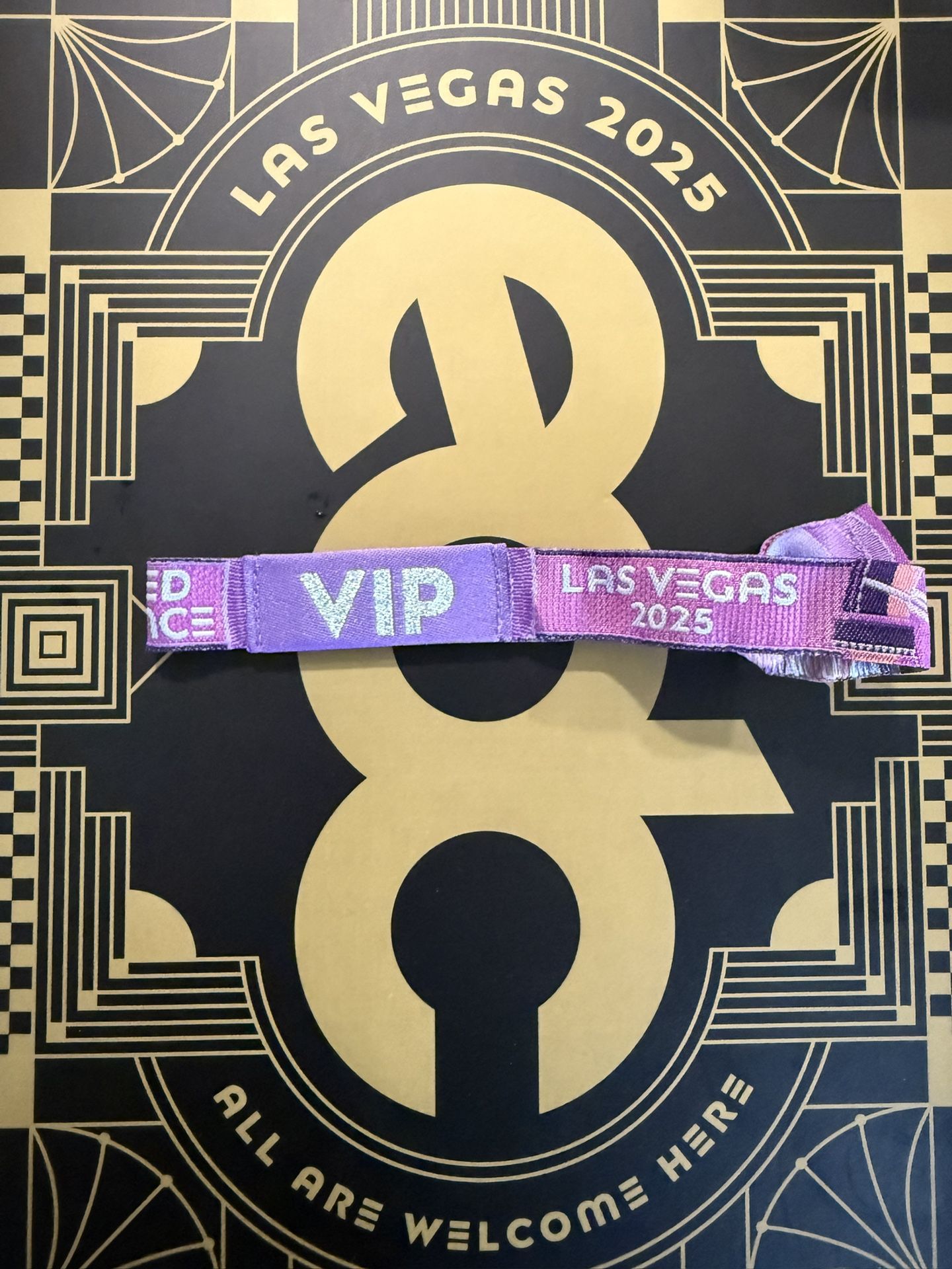 EDC 2025 VIP Pass