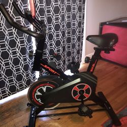 Exercise spin bike