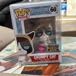 Grumpy Cat