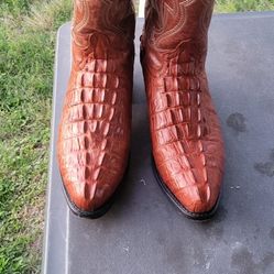 Cowboy Boots Caiman