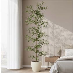 Faux 6.5' Black Olive Tree