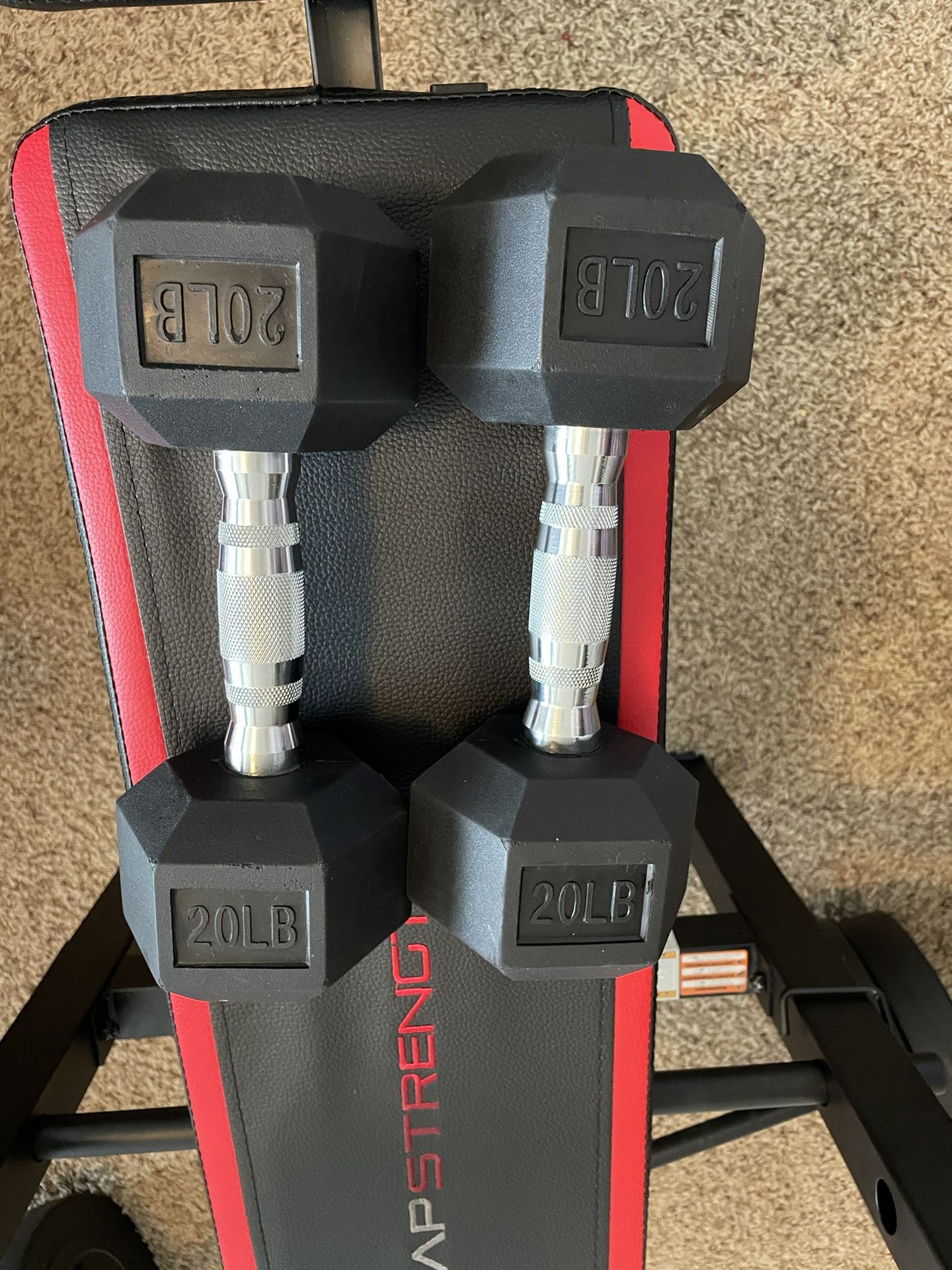 Rubber Encased Hex Dumbbells 20lbs x 2