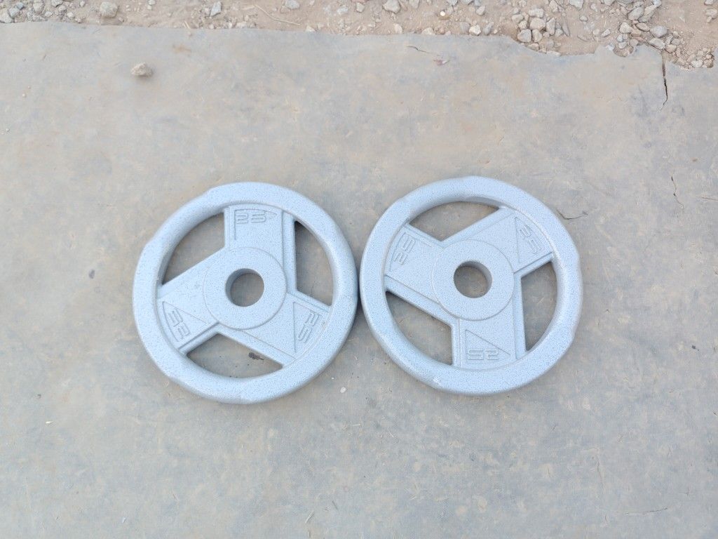 Olympic Weights 2x25lbs
