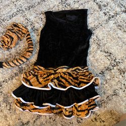 Cute Tiger costume 
