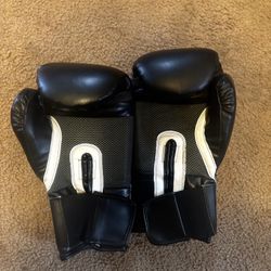 Everlast Boxing Gloves 