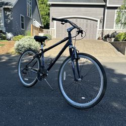 Hybrid Schwinn Bike
