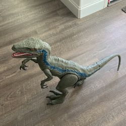 Colossal raptor Blue