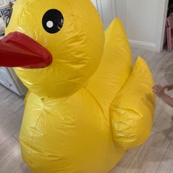 Inflatable Pool Duck Swimming